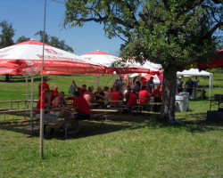 fr  hlingsfest 2017 12