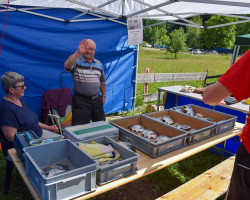 burdlefer platzgen von hansruedi gruetter