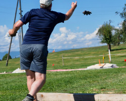 martin bachmann pc boll heimelig