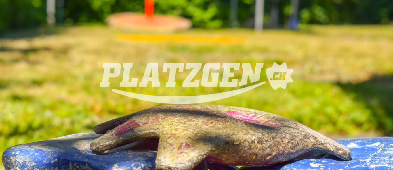 Platzgerverband Schweiz Home